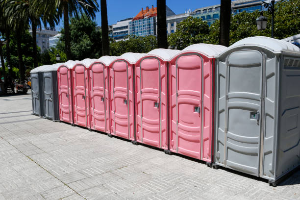 Best Portable Toilets for Parks and Recreation Areas  in Tennessee Ridge, TN